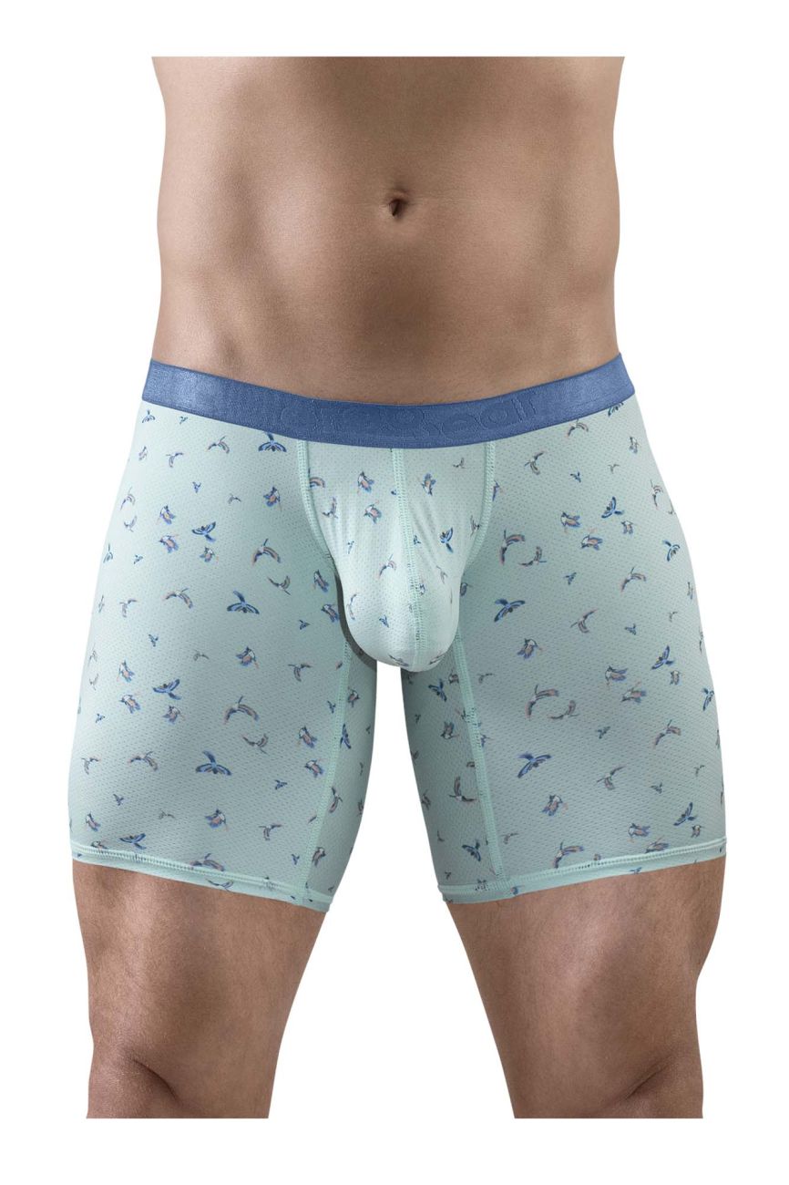 ErgoWear SLK SE Men's Boxer Brief in Frost Birds – men's boxer briefs