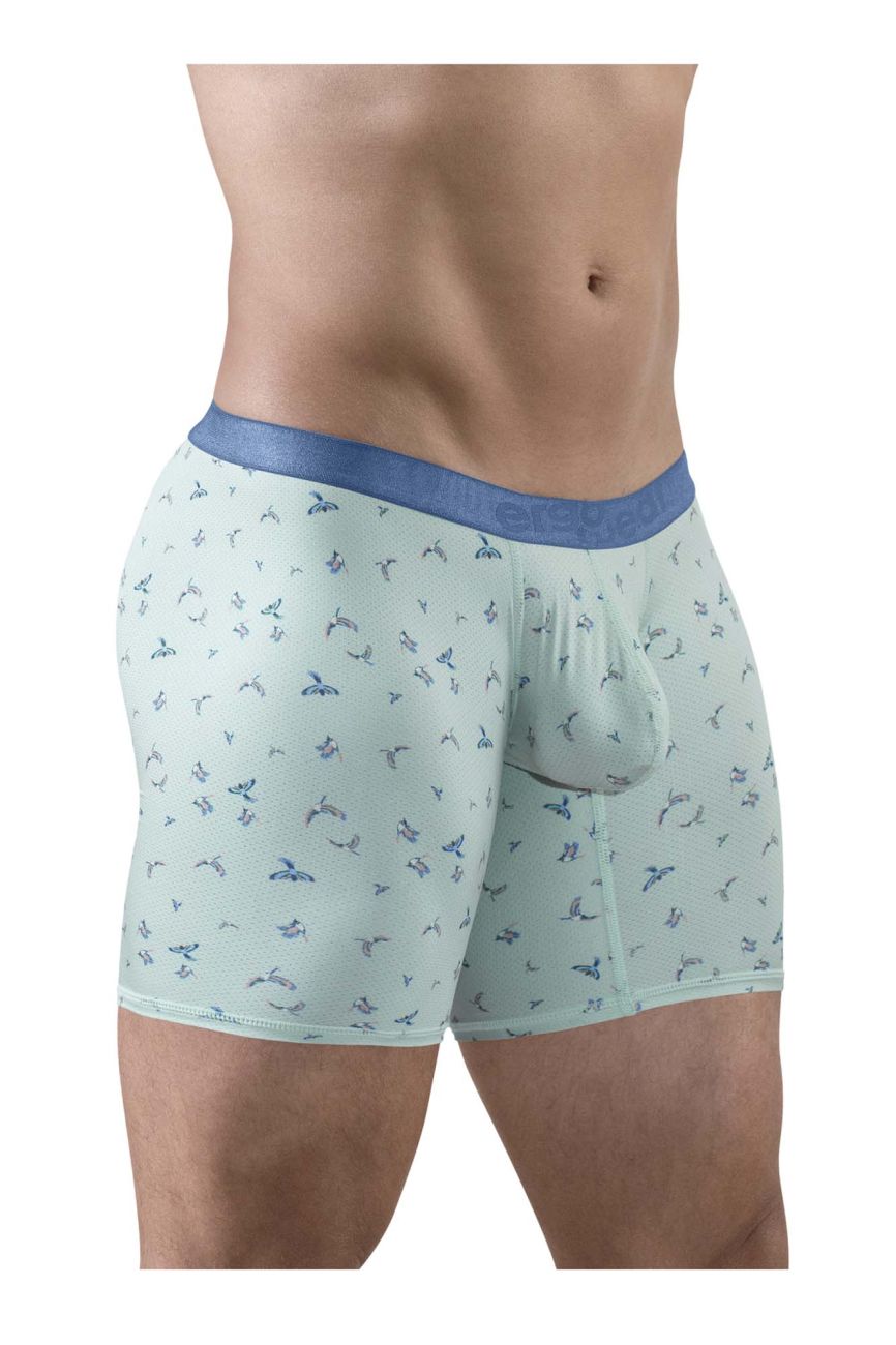 ErgoWear SLK SE Men's Boxer Brief in Frost Birds – men's boxer briefs
