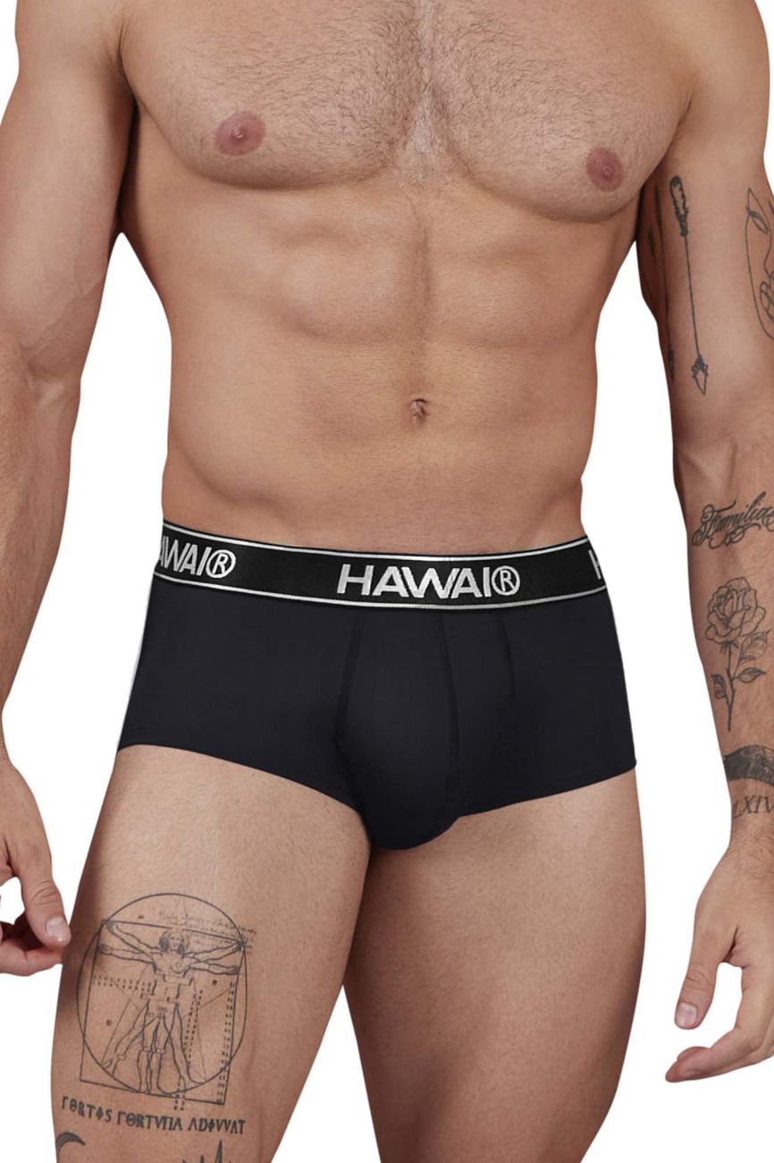 HAWAIR Microfiber Men's Bikini Brief in Black – men's briefs