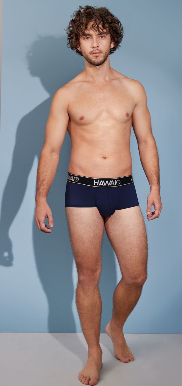 HAWAIR Microfiber Men's Bikini Brief in Dark Blue – men's briefs