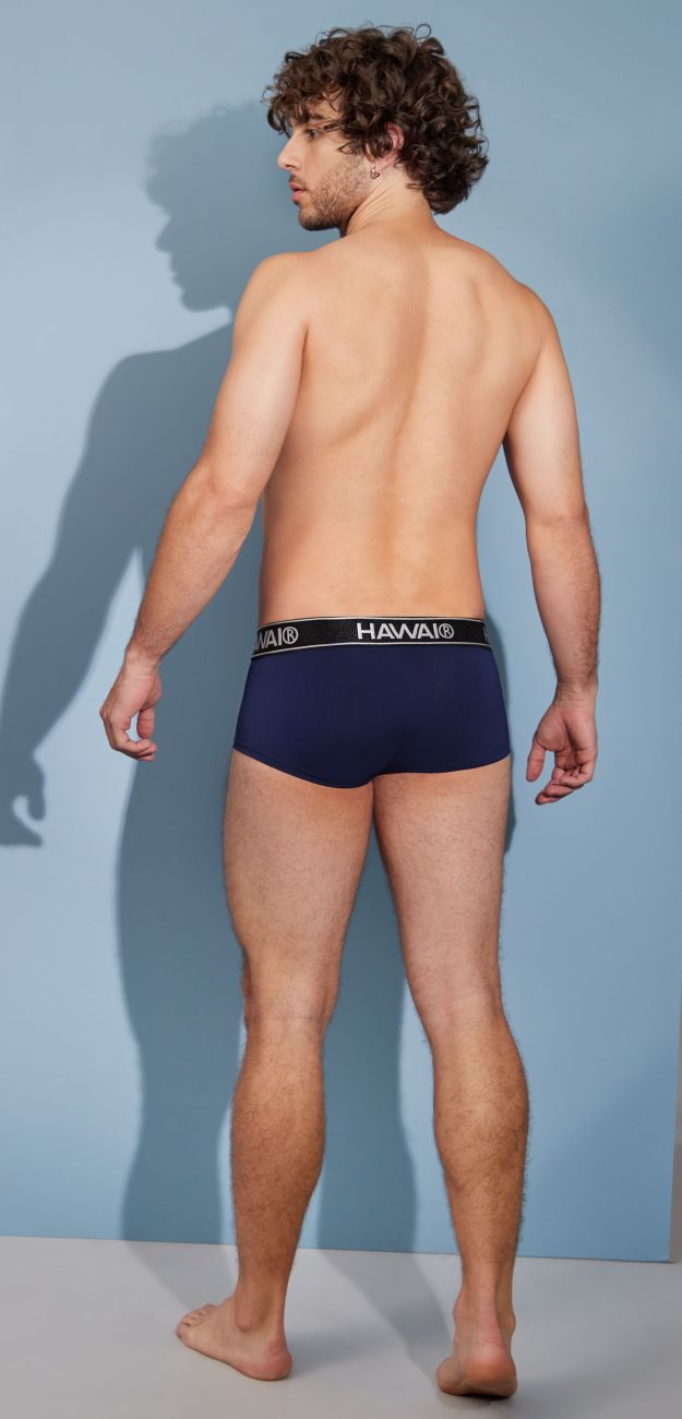 HAWAIR Microfiber Men's Bikini Brief in Dark Blue – men's briefs