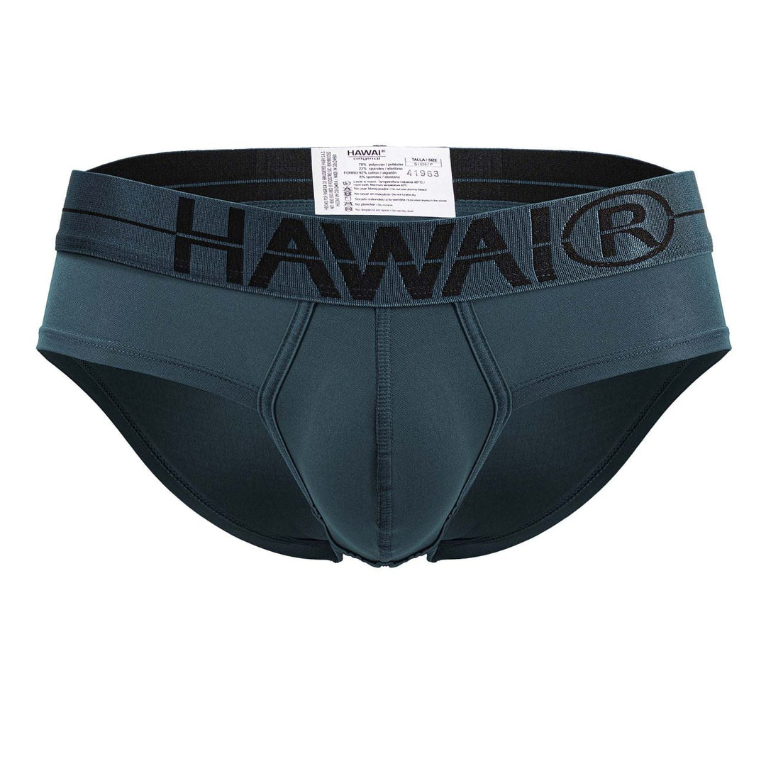 HAWAIR Microfiber Men's Bikini Brief in Green – men's briefs