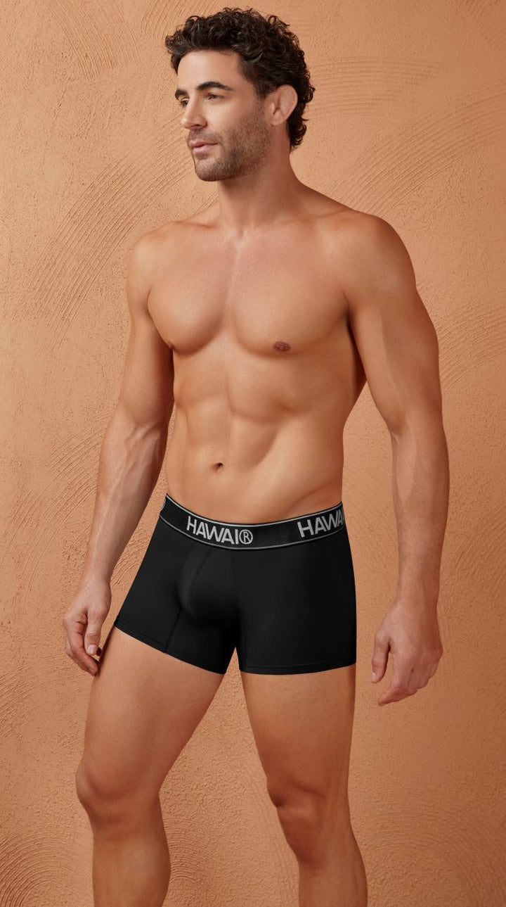 HAWAIR Microfiber Men's Trunk Underwear in Black 01 – men's trunks