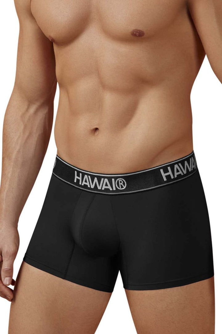 HAWAIR Microfiber Men's Trunk Underwear in Black 01 – men's trunks