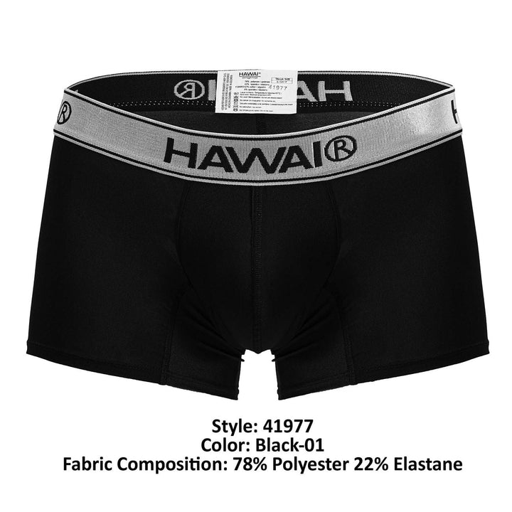 HAWAIR Microfiber Men's Trunk Underwear in Black 01 – men's trunks