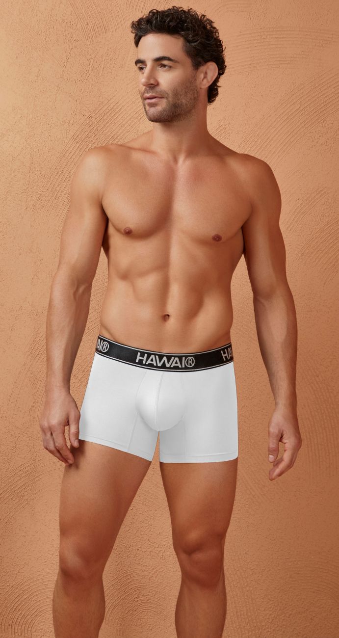 HAWAIR Microfiber Men's Trunk Underwear in White 01 – men's trunks