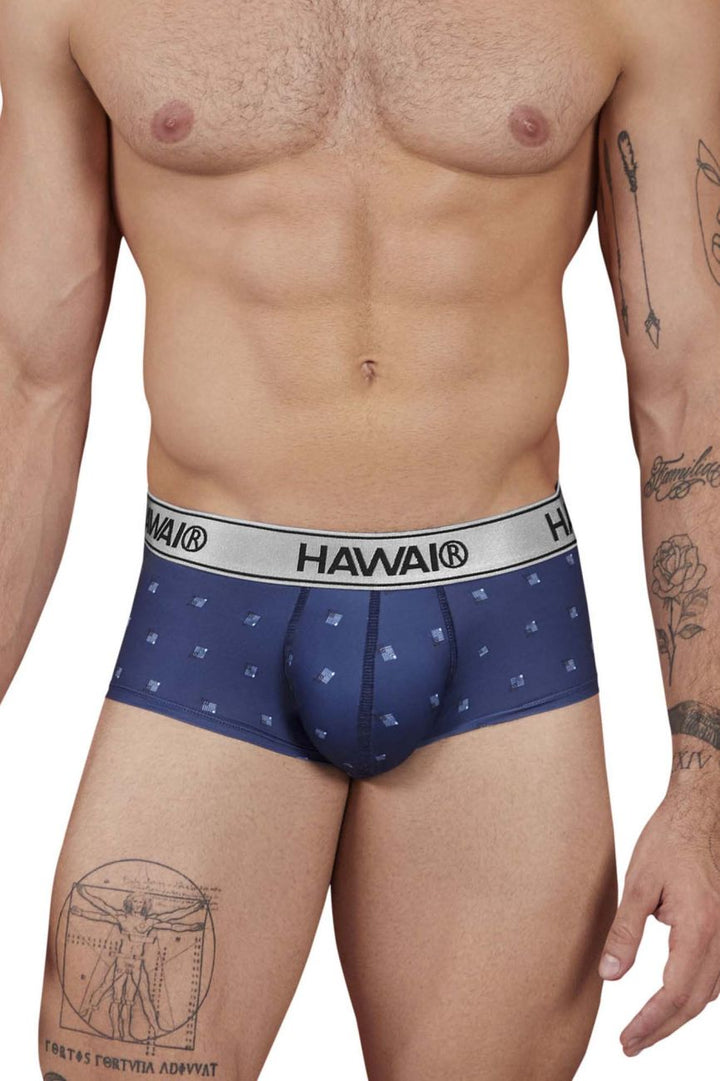 HAWAIR Printed Microfiber Briefs in Blue – men's briefs