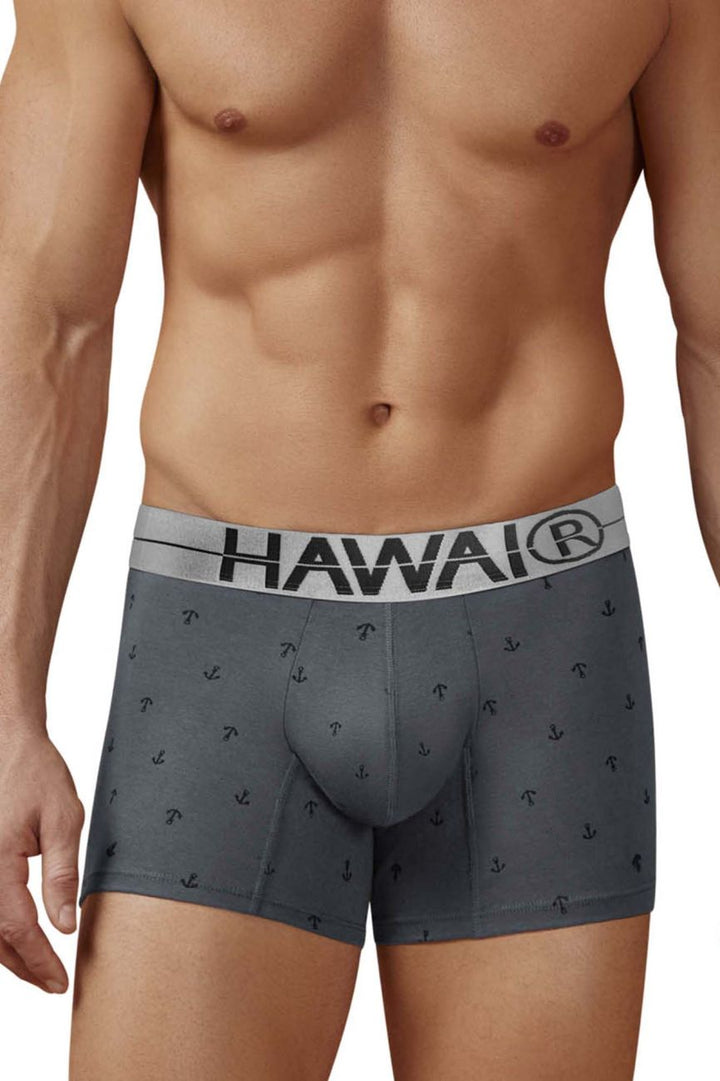 HAWAIR Cotton blend Men's Trunk Underwear in Gray – men's trunks