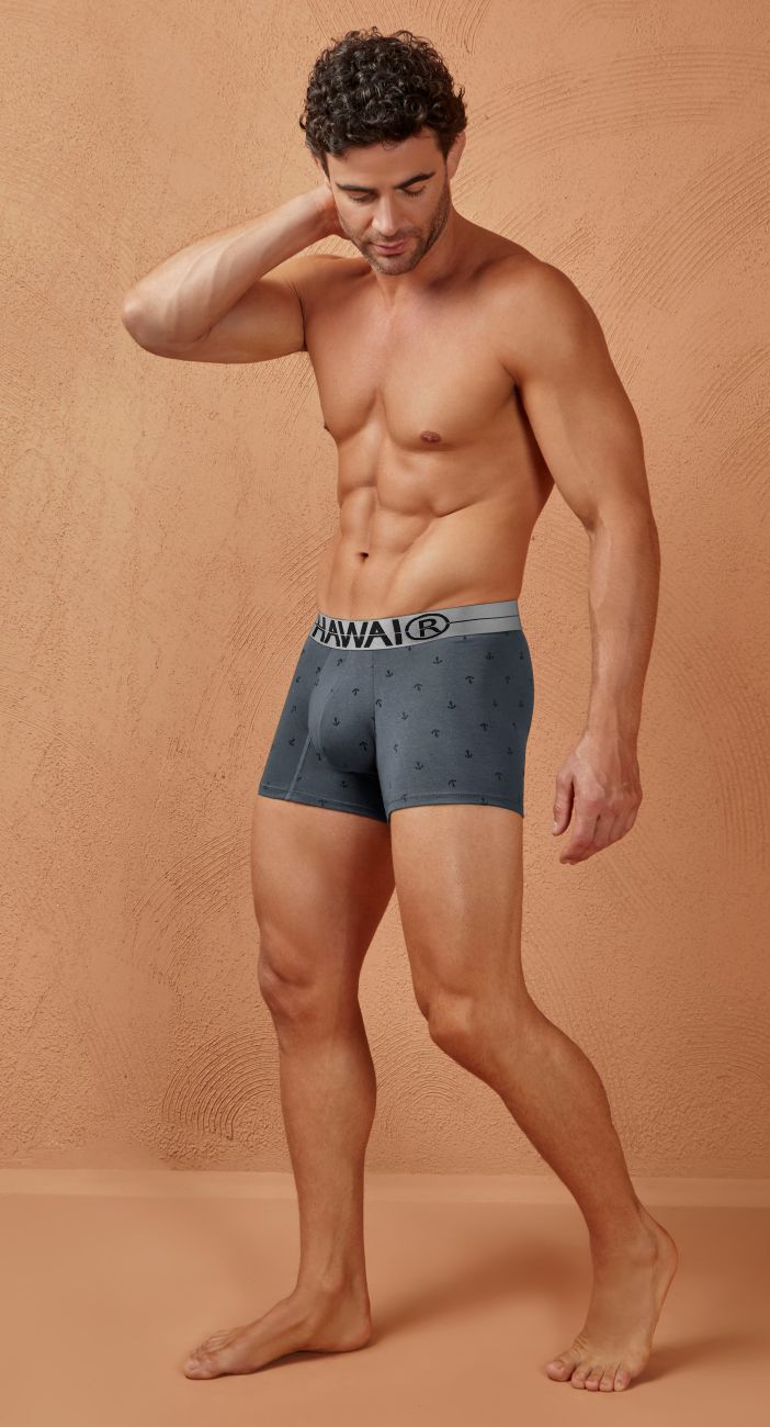 HAWAIR Cotton blend Men's Trunk Underwear in Gray – men's trunks