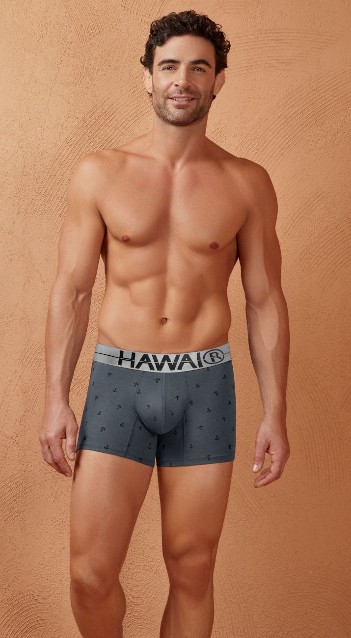 HAWAIR Cotton blend Men's Trunk Underwear in Gray – men's trunks