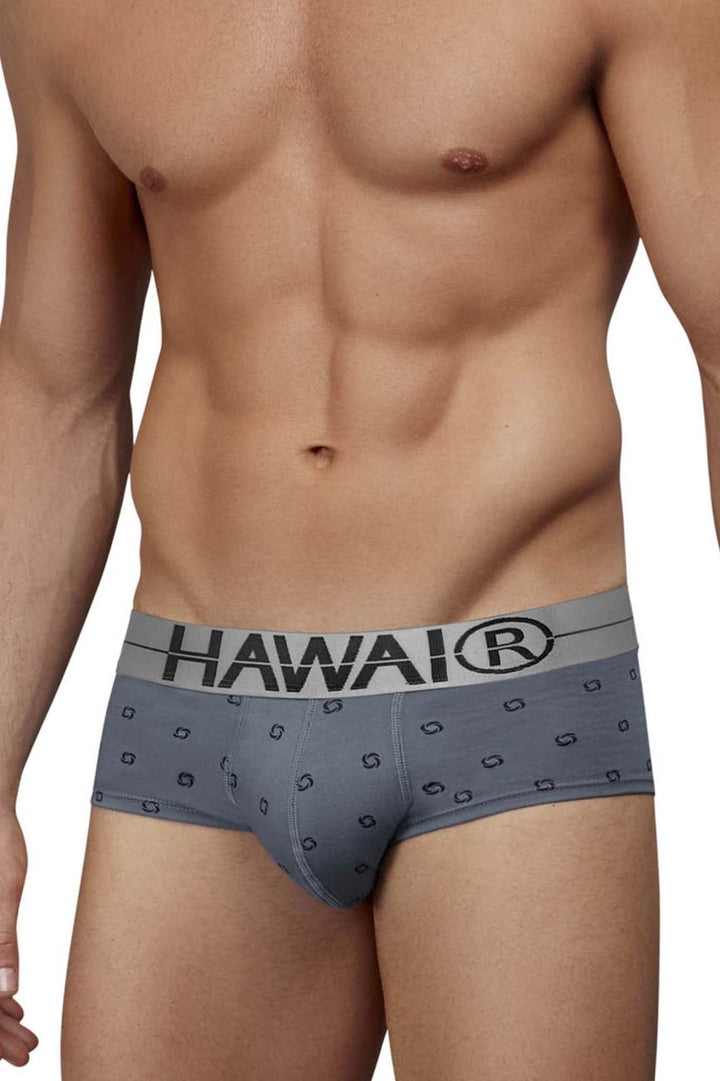 HAWAIR Cotton blend Men's Bikini Brief in Gray – men's briefs
