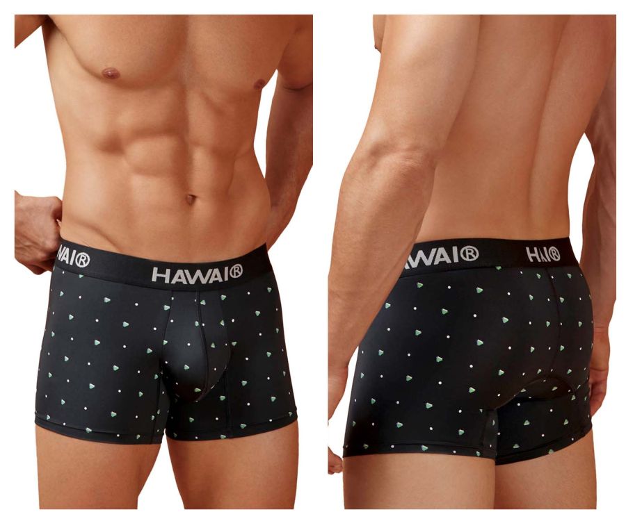 HAWAIR Microfiber Men's Trunk Underwear in Black – men's trunks