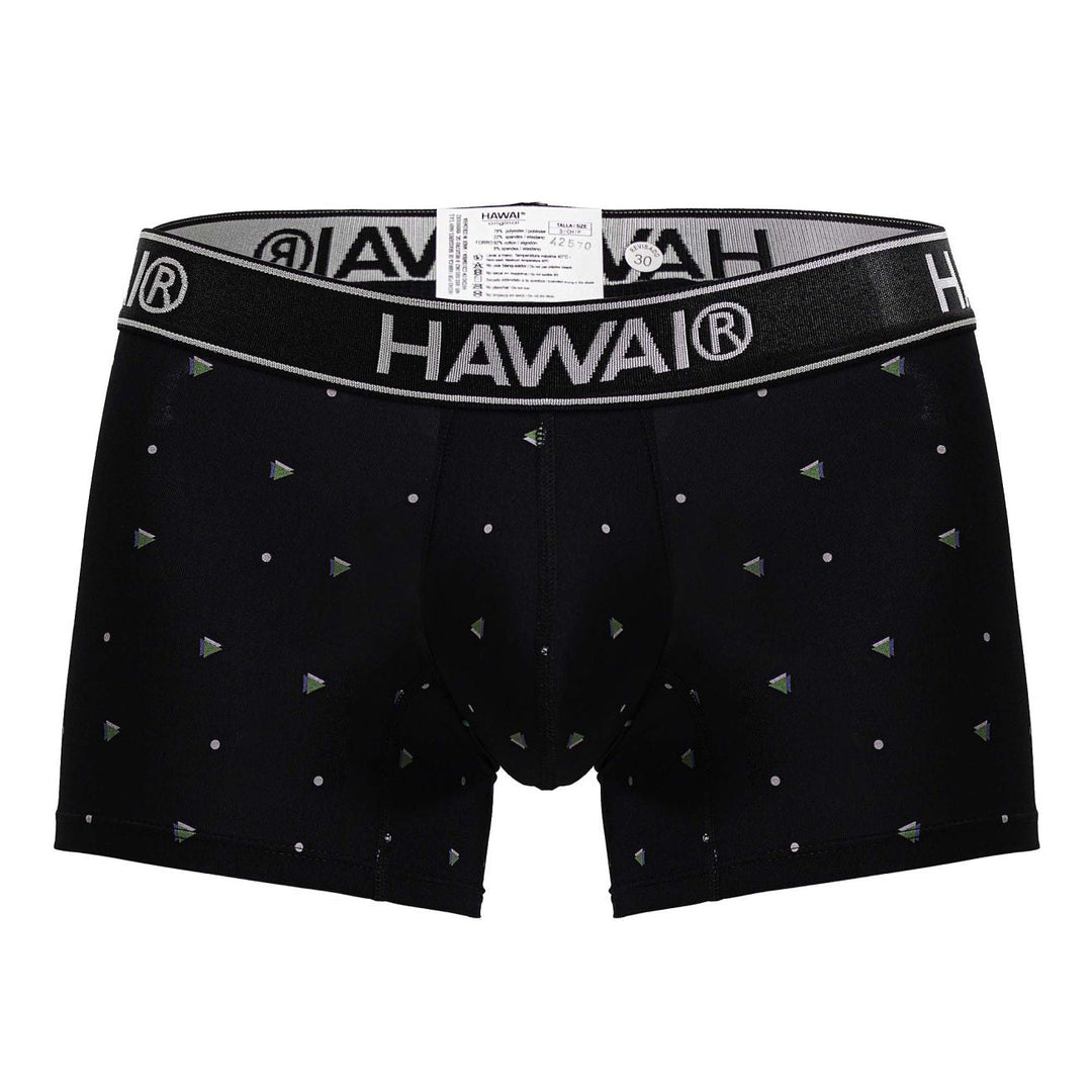 HAWAIR Microfiber Men's Trunk Underwear in Black – men's trunks