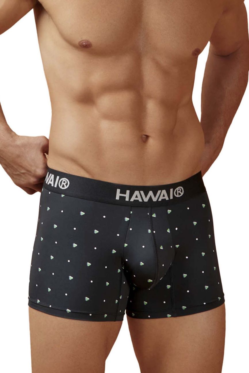HAWAIR Microfiber Men's Trunk Underwear in Black – men's trunks