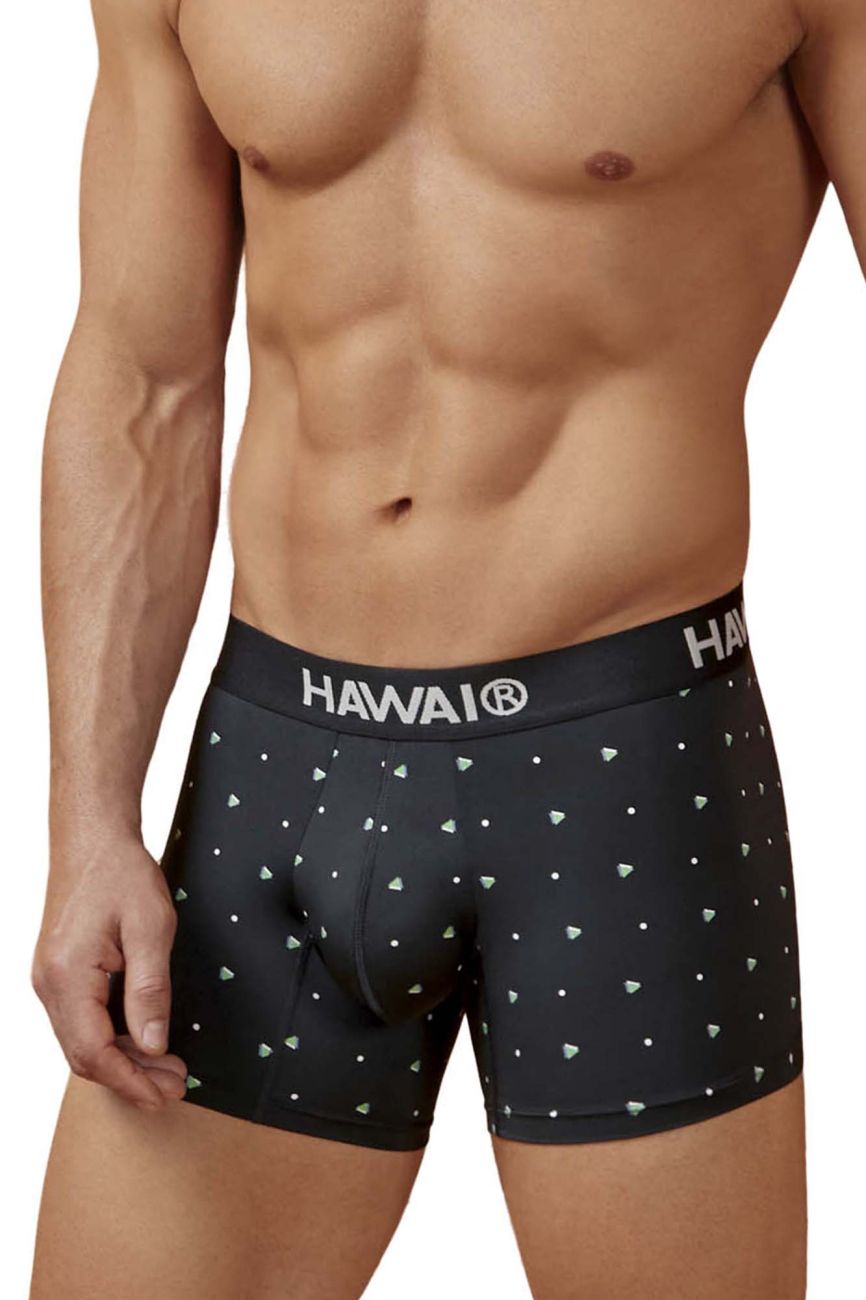 HAWAIR Microfiber Men's Trunk Underwear in Black – men's trunks