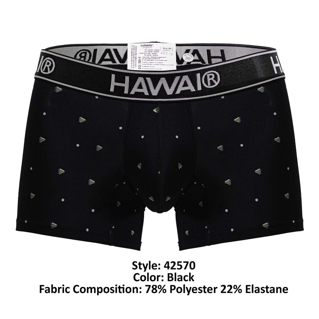 HAWAIR Microfiber Men's Trunk Underwear in Black – men's trunks