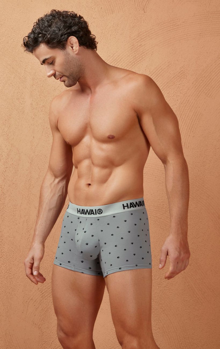 HAWAIR Cotton blend Men's Trunk Underwear in Gray – men's trunks
