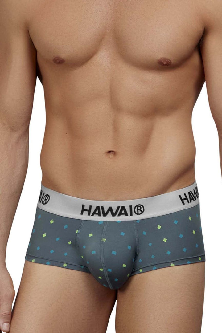 HAWAIR Microfiber Men's Bikini Brief in Gray – men's briefs