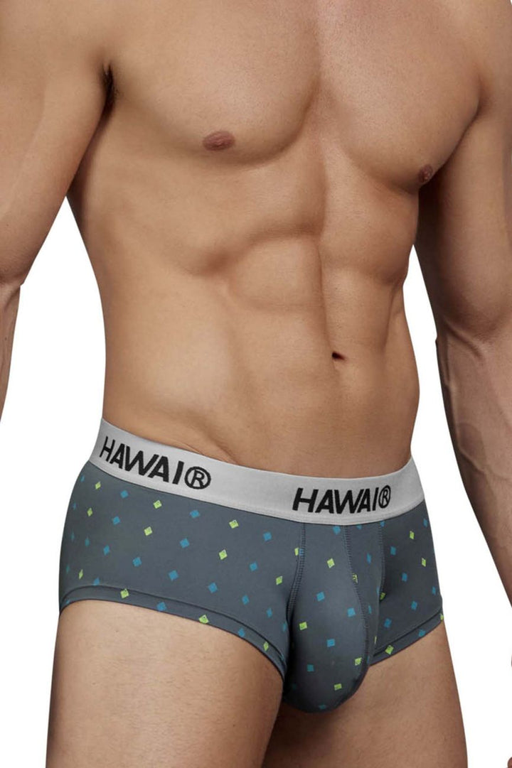 HAWAIR Microfiber Men's Bikini Brief in Gray – men's briefs