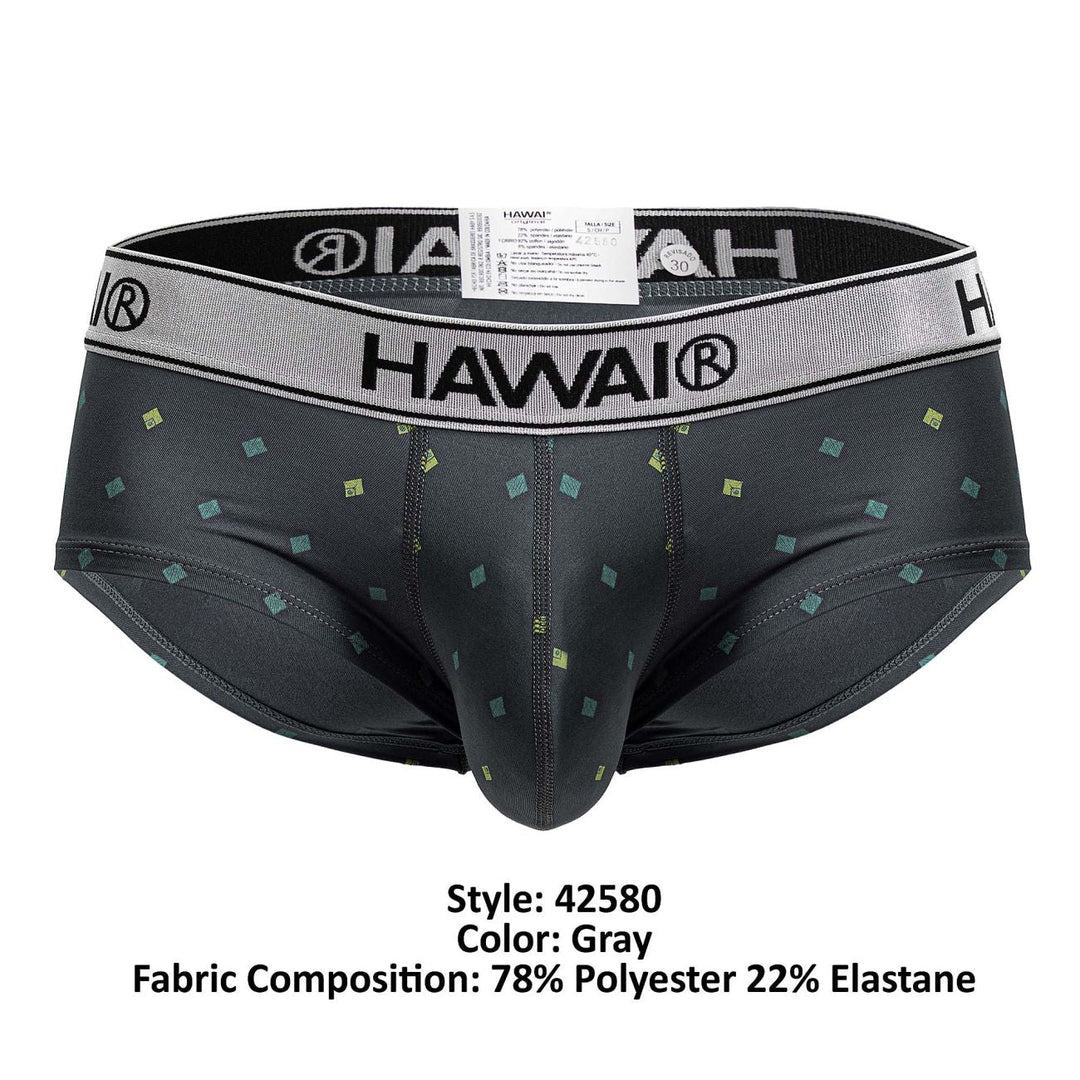 HAWAIR Microfiber Men's Bikini Brief in Gray – men's briefs