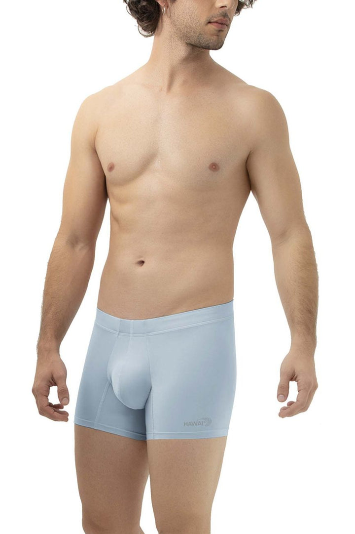 HAWAIR Microfiber Trunks in Light Blue – men's trunks