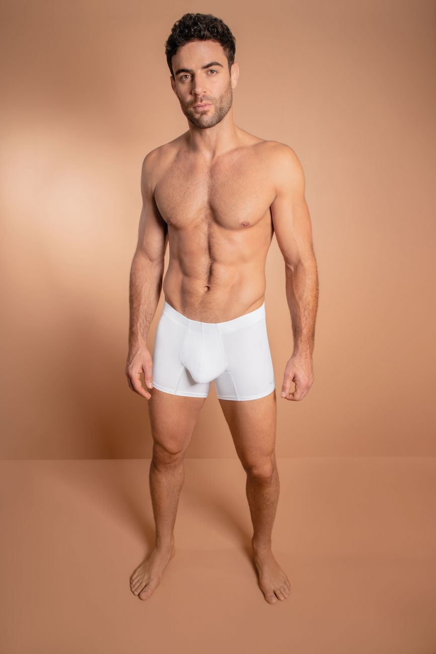 HAWAIR Microfiber Men's Trunk Underwear in White – men's trunks