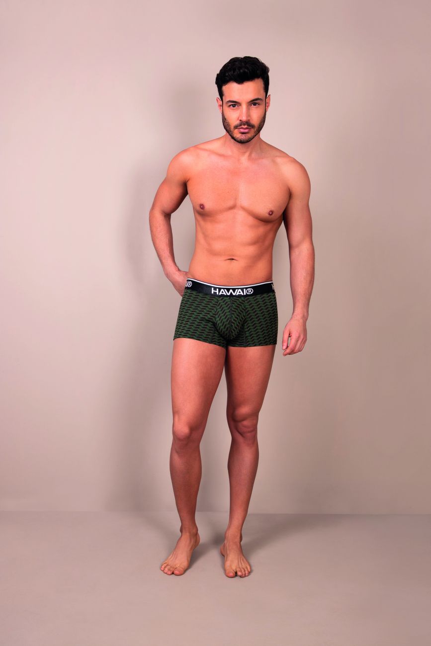 HAWAIR Printed Trunks in Green – men's trunks