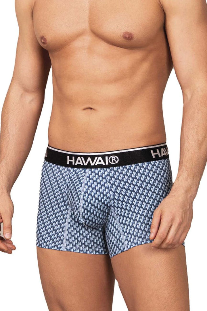 HAWAIR Printed Men's Trunk Underwear in Blue – men's trunks