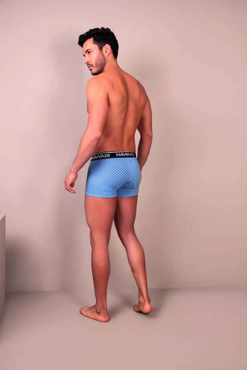 HAWAIR Printed Trunks in Blue – men's trunks