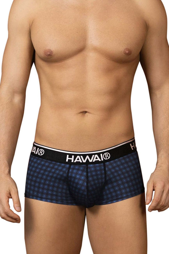HAWAIR Printed Briefs in Blue – men's briefs