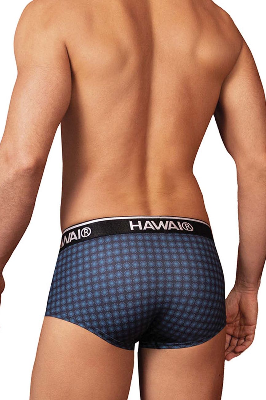 HAWAIR Printed Briefs in Blue – men's briefs