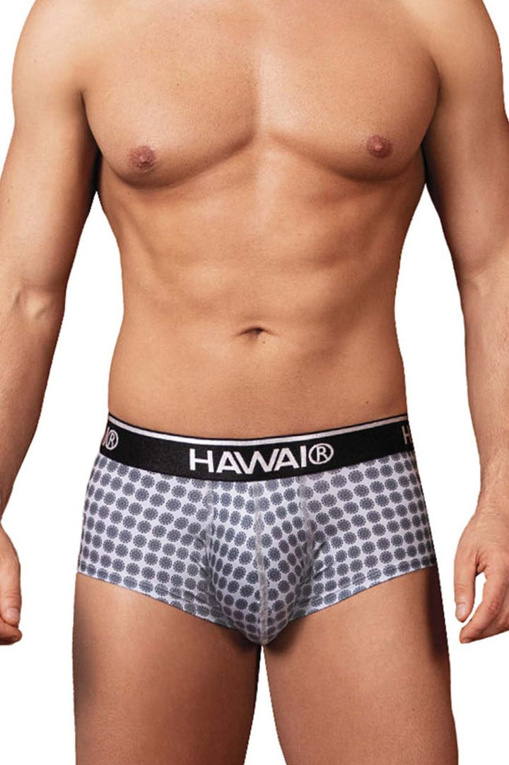 HAWAIR Printed Briefs in Gray – men's briefs