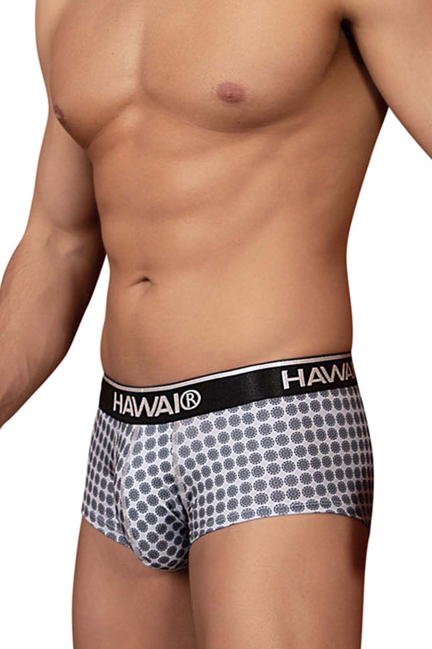 HAWAIR Printed Briefs in Gray – men's briefs