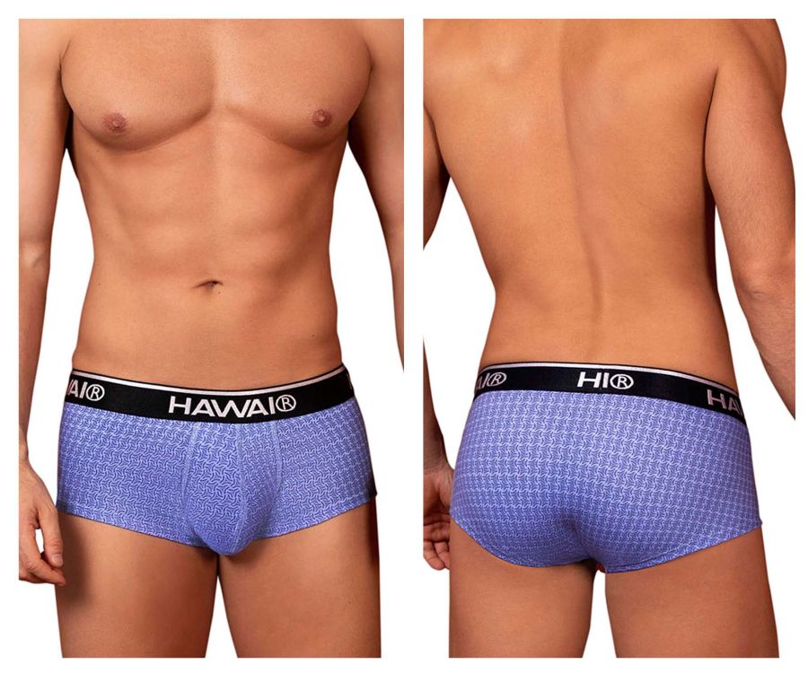 HAWAIR Printed Briefs in Blue – men's briefs