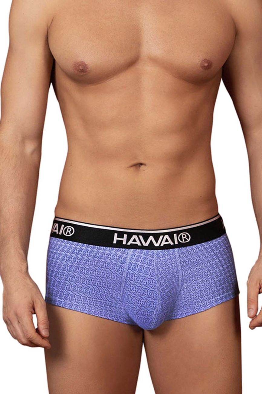 HAWAIR Printed Briefs in Blue – men's briefs