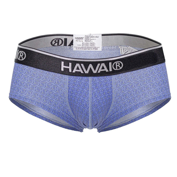 HAWAIR Printed Briefs in Blue – men's briefs