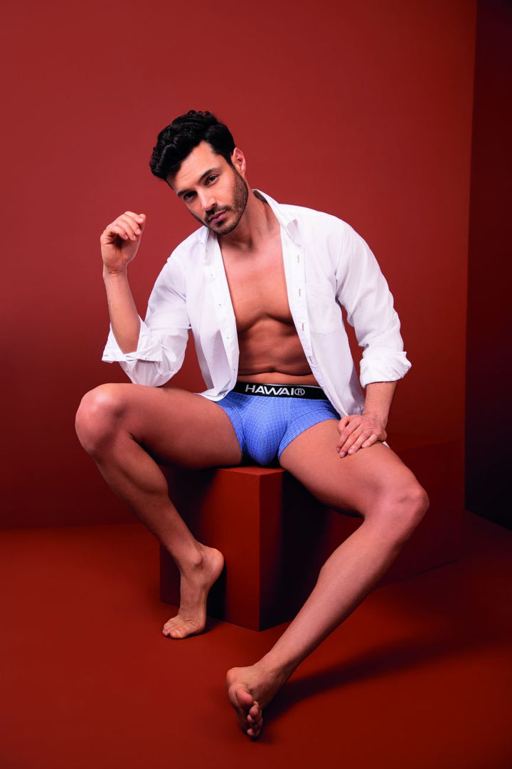 HAWAIR Printed Briefs in Blue – men's briefs