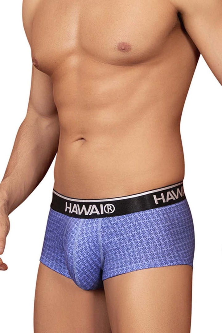 HAWAIR Printed Briefs in Blue – men's briefs
