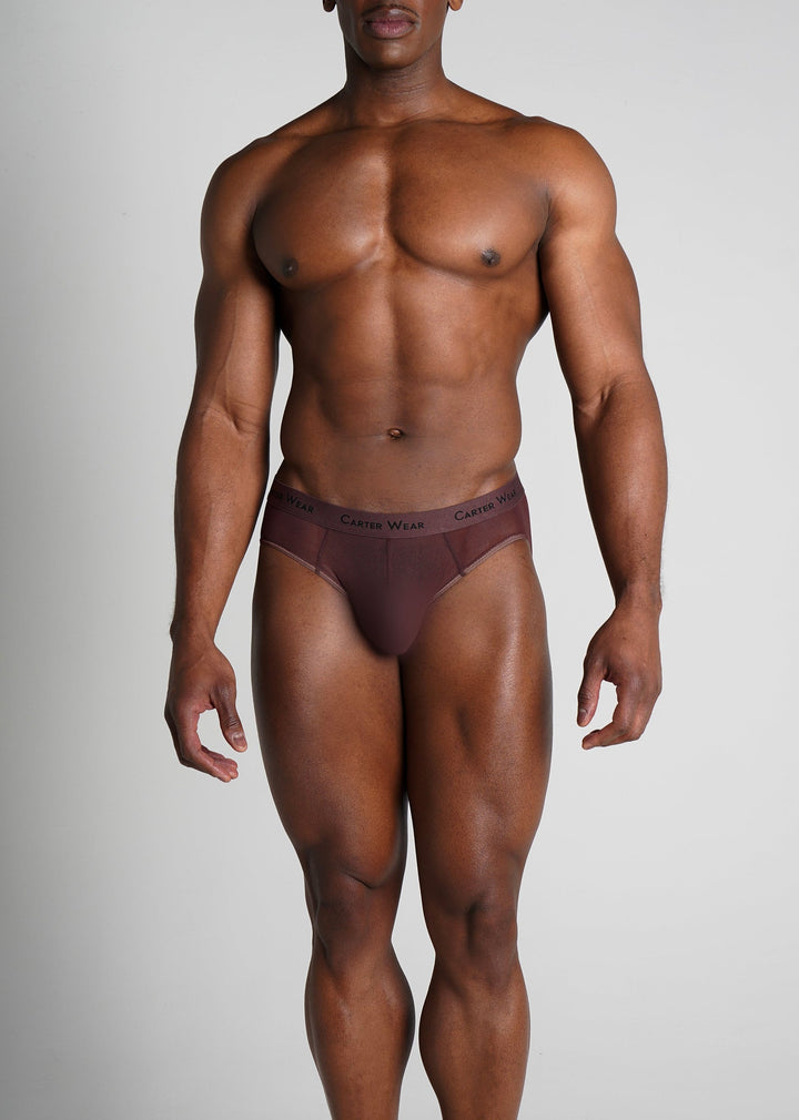Carter Wear Men’s Espresso Micro Mesh Brief - HD Breathable See-Through Stretch Underwear (Dark Brown)