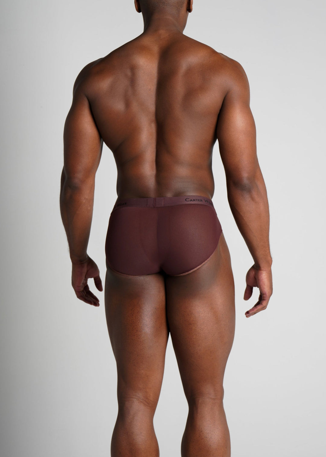 Carter Wear Men’s Espresso Micro Mesh Brief - HD Breathable See-Through Stretch Underwear (Dark Brown)