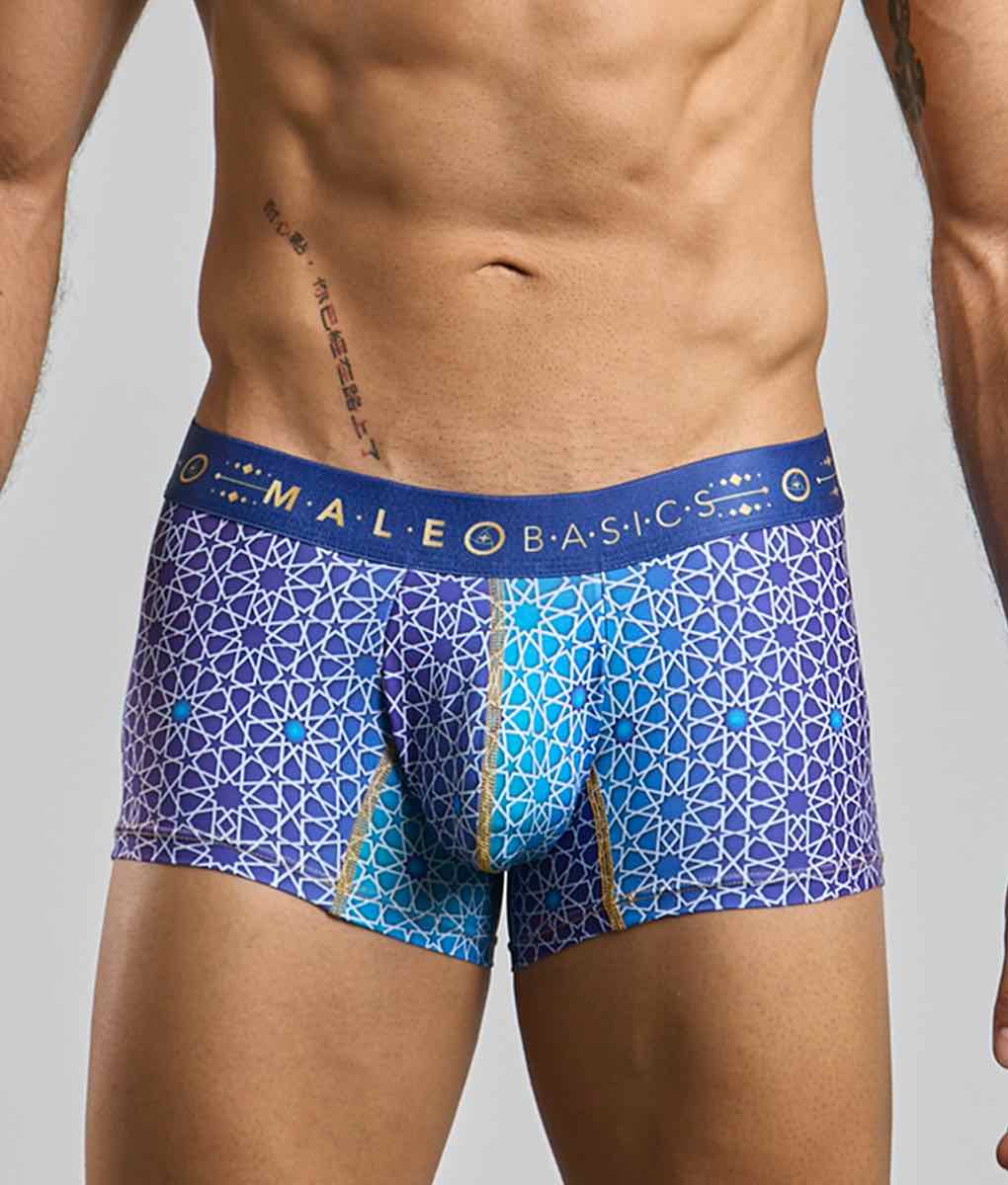 Malebasics Men's Trunk Hipster – Premium Microfiber & Lycra Stretch Underwear