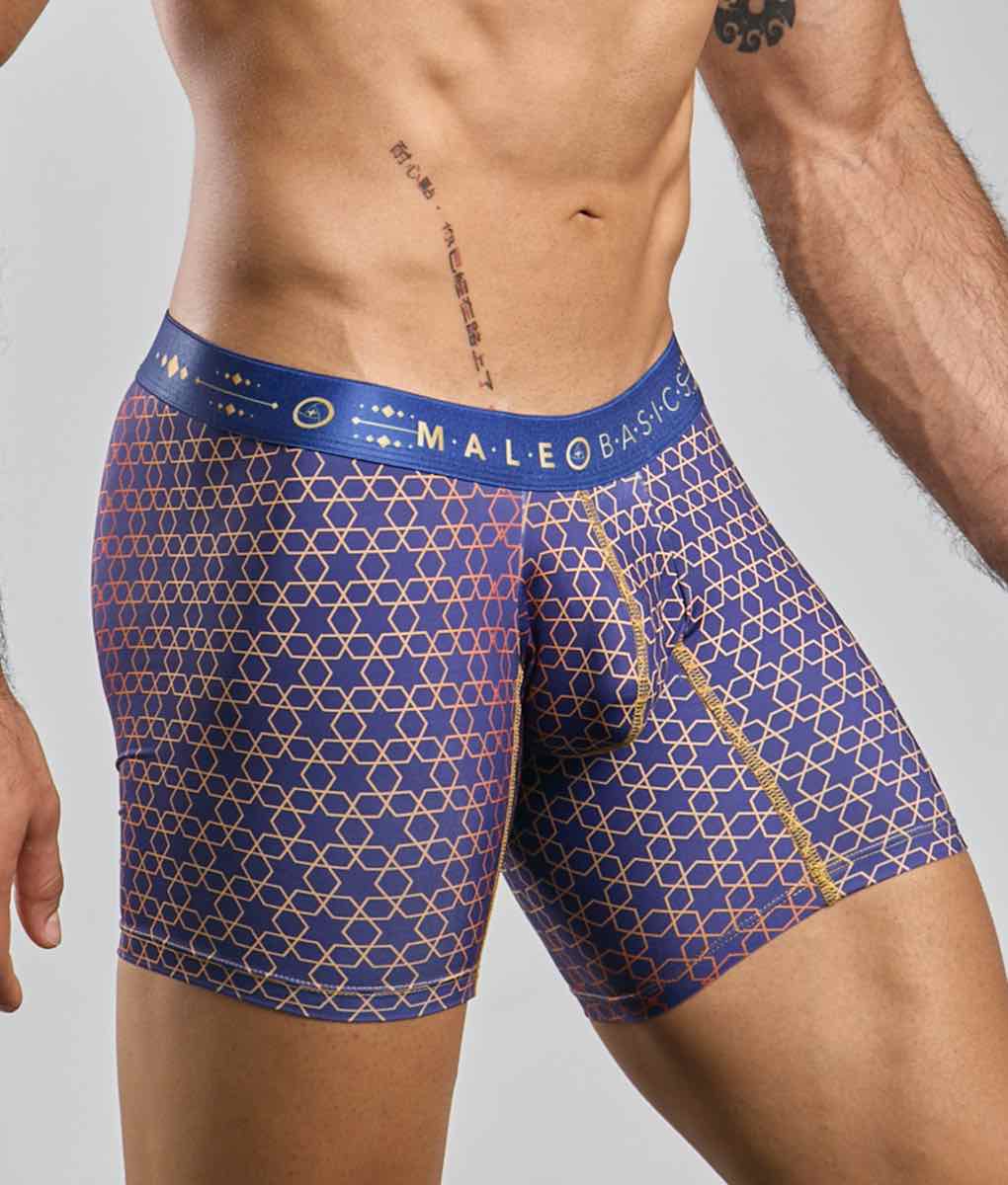 MaleBasics Men's Hipster Boxer Briefs – Low-Rise Mid-Thigh Supportive Underwear