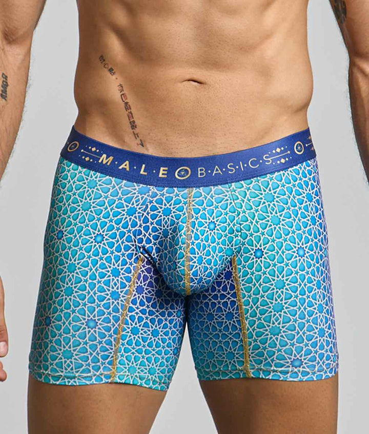 MaleBasics Men's Hipster Boxer Briefs – Low-Rise Mid-Thigh Supportive Underwear