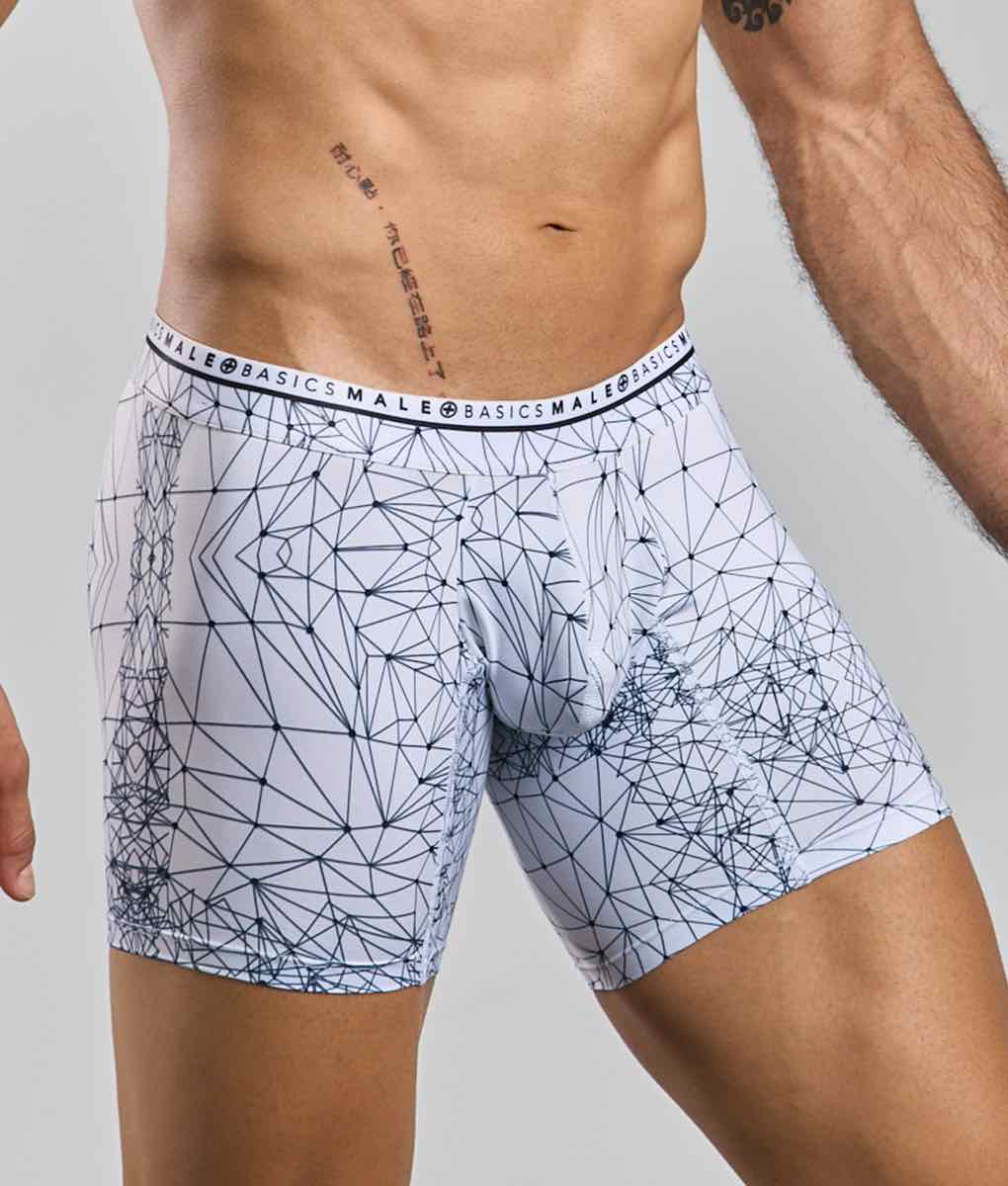 Malebasics Spider Hipster Boxer Briefs - Microfiber & Lycra Blend