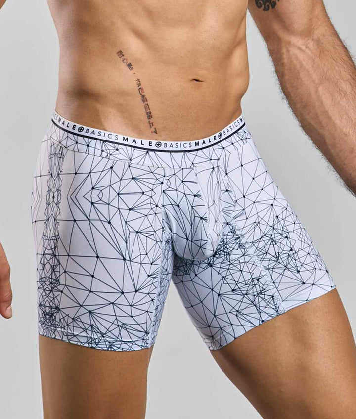 Malebasics Spider Hipster Boxer Briefs - Microfiber & Lycra Blend