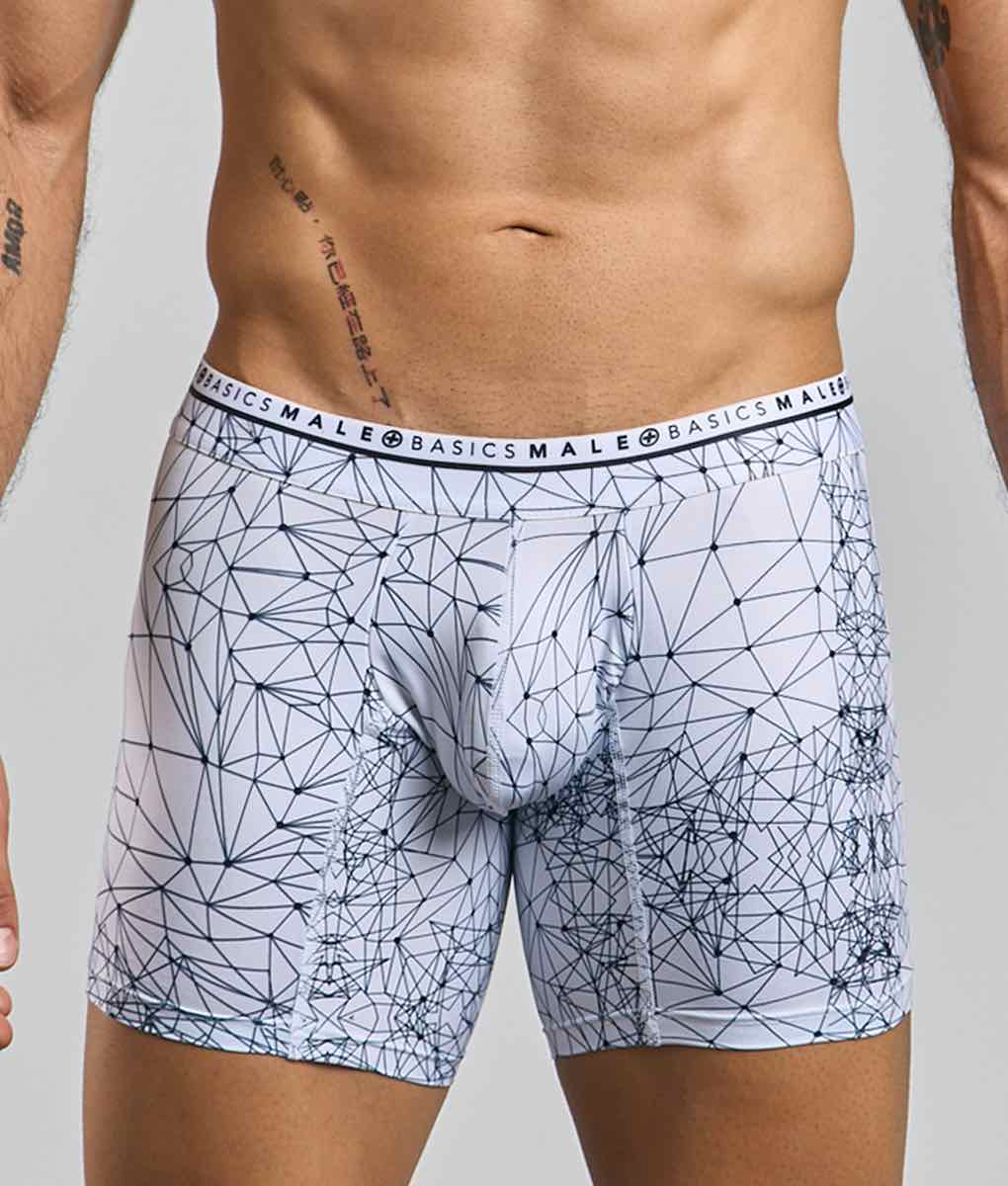 Malebasics Spider Hipster Boxer Briefs - Microfiber & Lycra Blend
