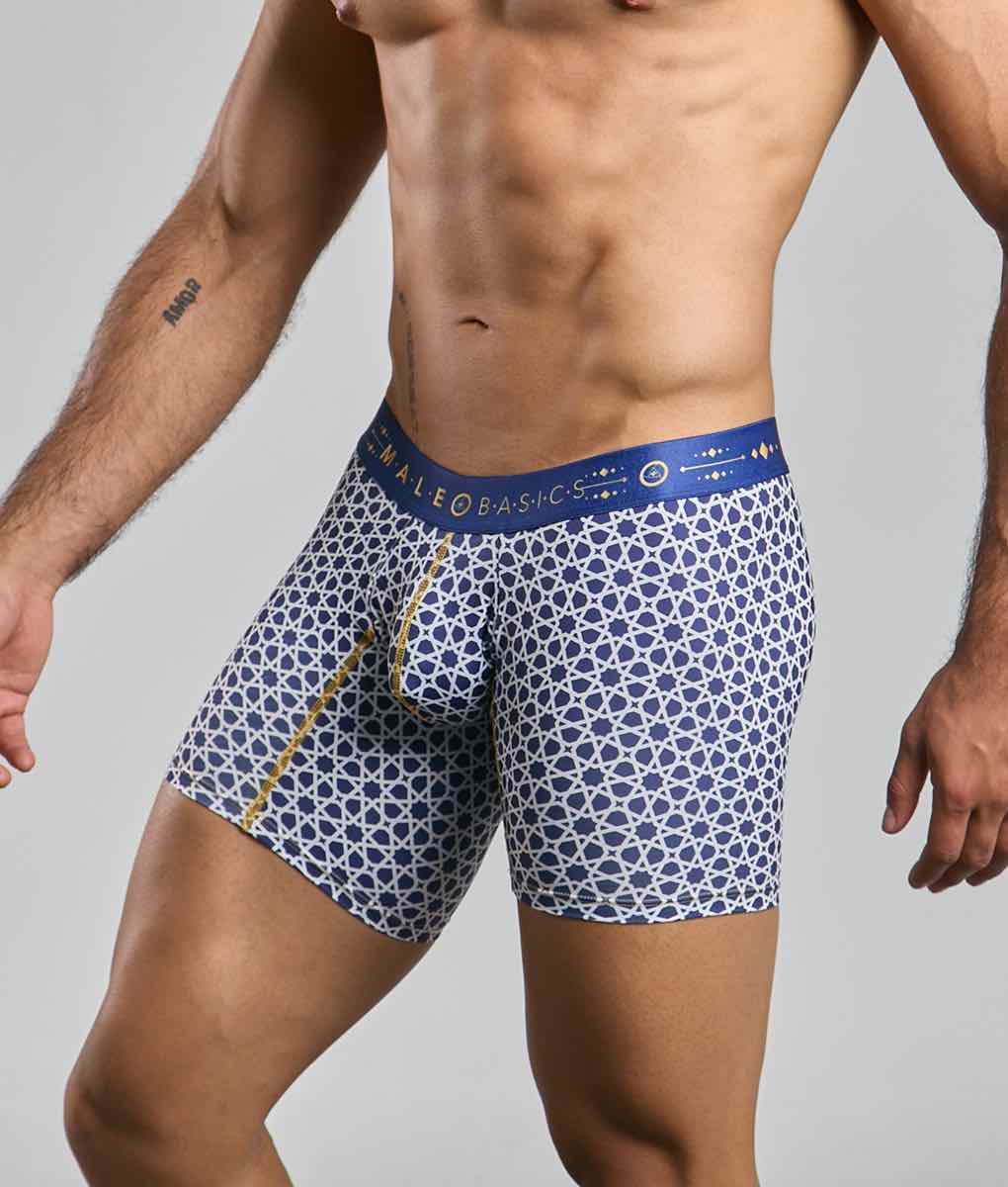 MaleBasics Men's Hipster Boxer Briefs – Low-Rise Mid-Thigh Supportive Underwear