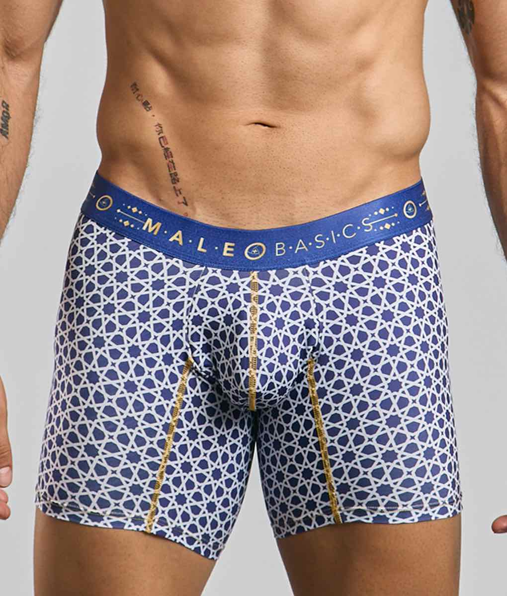 MaleBasics Men's Hipster Boxer Briefs – Low-Rise Mid-Thigh Supportive Underwear