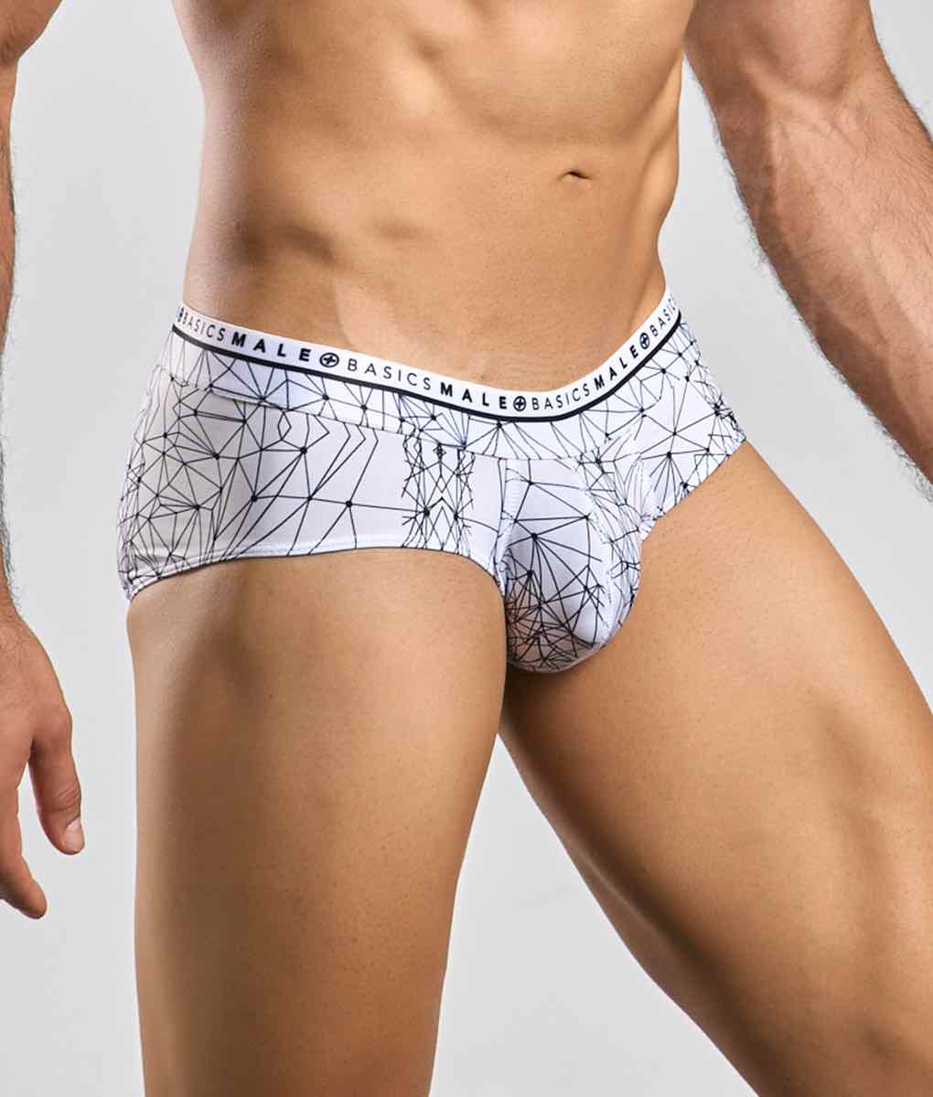 Malebasics Men’s Hipster Briefs - Spider Web Print Comfort Fit