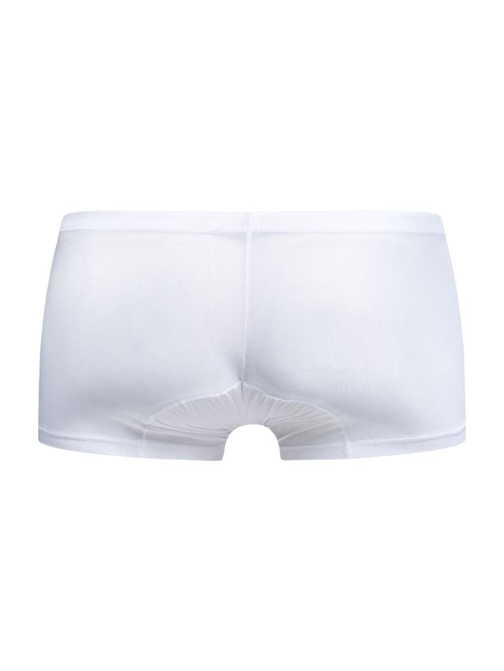 MaleBasics MBL78 Lace Men's Trunk Underwear in White Mesh – men's trunks
